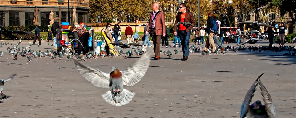 Mañana de otoño en la Plaza Catalunya